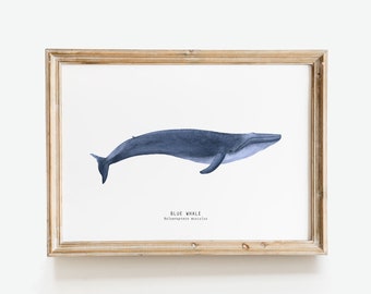 Blue Whale wall art | Whale wall decor | Blue whale fine art | Nursery wall art | Gift for whale lovers | Bedroom decor | Living room art