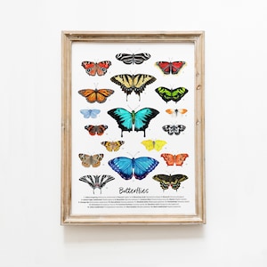 Stampa artistica con farfalle / decorazione colorata della parete del soggiorno / regalo per ragazza / pittura ad acquerello con farfalla / cameretta dei bambini, poster per la camera da letto