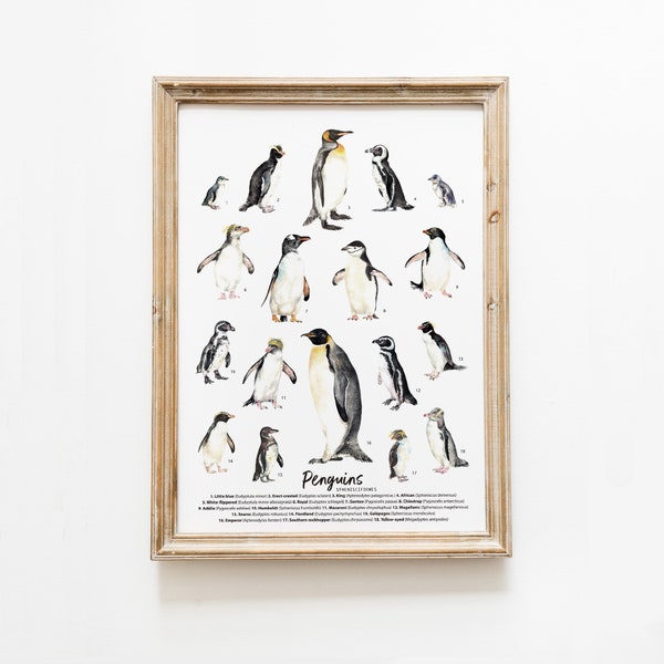 Pinguin Arten, Arten Kunstdruck | Meer, Strand Wohnen, Kinderzimmer, Kinderzimmer | Homeschool Poster | Klassenzimmer Dekor | Pinguine Aquarell Geschenk