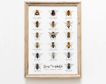 Bees of the world classroom wall art | Homeschool poster | Montessori learning & education | Bee chart | Classroom décor | Bee lover gift