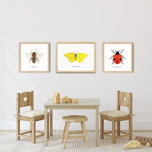 May include: Three framed illustrations of insects: a bee, a butterfly, and a ladybug. The frames are light wood and the illustrations are on white paper. The bee is brown and black, the butterfly is yellow, and the ladybug is red with black spots. The illustrations are hanging on a white wall above a wooden table and chairs.