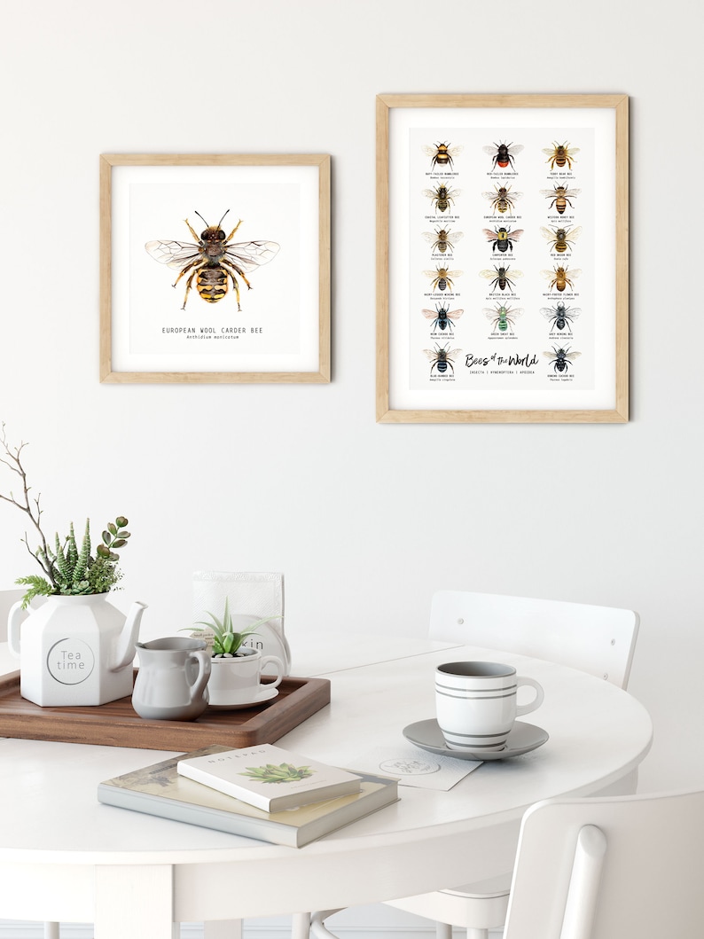 Bees of the world set of 18 art prints Art collection Montessori learning Montessori education Gifts for bee lovers Home decor image 6