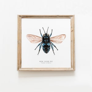 Impressão de néon da arte da abelha do cuco | Arte em aquarela | Arte de parede de abelhas | Guia de natureza Montessori | Impressão artística infantil | Impressão de belas artes da abelha | Arte do bebê