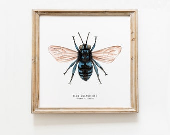 Neon Cuckoo bee art print | Watercolour art | Bees wall art | Montessori nature guide | Children's art print | Bee Fine Art print | Baby art