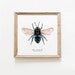 see more listings in the Bees section