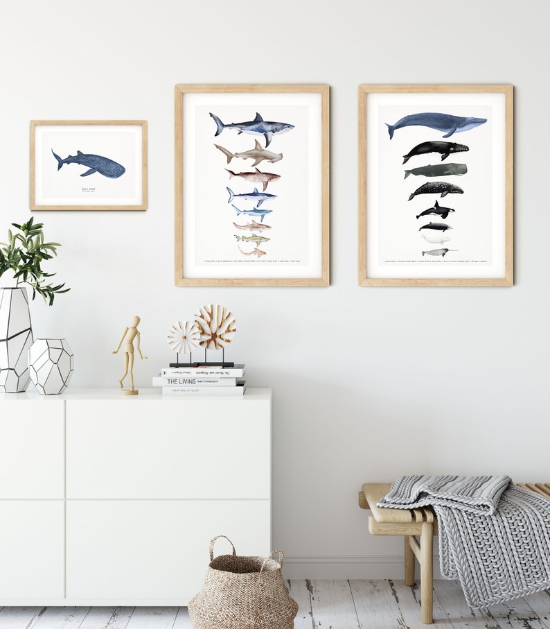 May include: Three framed prints of watercolor illustrations of various sharks and whales. The prints are hung on a white wall above a white dresser with a wooden bench in front of it.