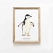 see more listings in the Penguins section
