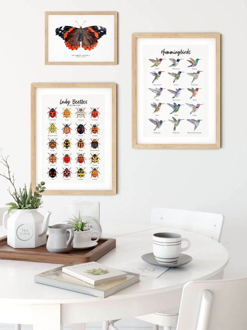 Red Admiral butterfly art print Vanessa atalanta watercolor wall décor bedroom, bathroom art poster living room, nursery, animal gift image 4