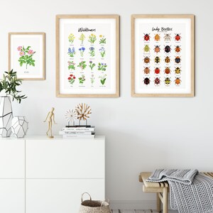 Wild Prairie Rose Watercolour Art Print | Iowa and North Dakota State ...
