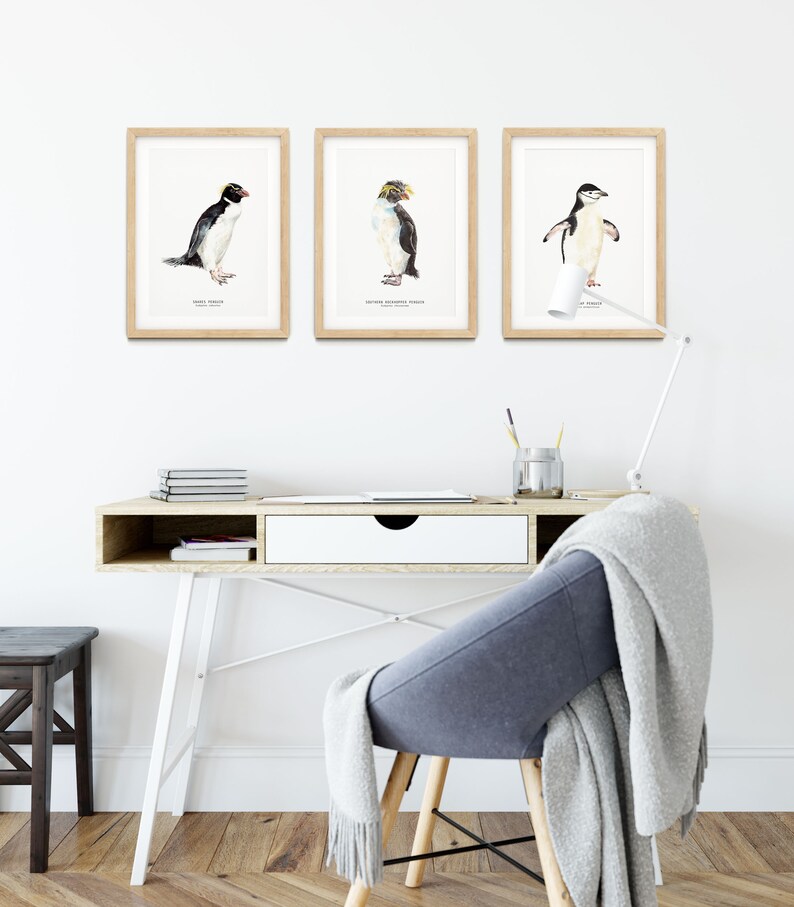 Snares penguin print dining room nature gallery wall art nautical beach home décor gift cute penguins nursery Eudyptes robustus image 5