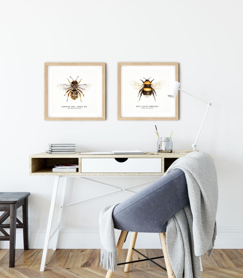 Bees of the world set of 18 art prints Art collection Montessori learning Montessori education Gifts for bee lovers Home decor image 5