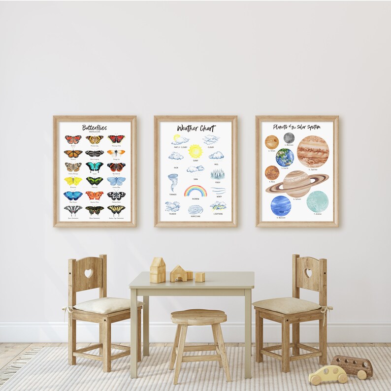 May include: Three framed educational posters for children, hanging on a white wall. The posters are titled "Butterflies", "Weather Chart", and "Planets of the Solar System". Each poster features colorful illustrations of the subject matter.