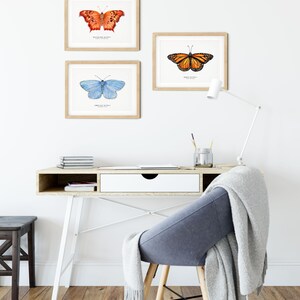 Question mark butterfly print Polygonia interrogationis watercolor art butterflies lover wall décor Nursery, living room girls gifts image 5
