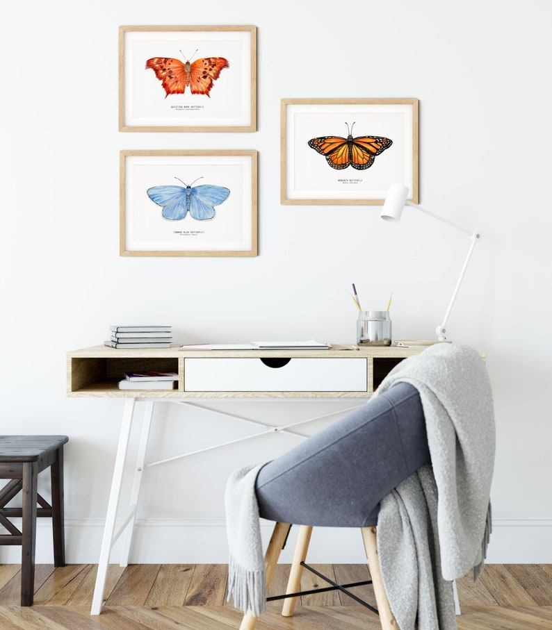 Question mark butterfly print Polygonia interrogationis watercolor art butterflies lover wall décor Nursery, living room girls gifts image 5