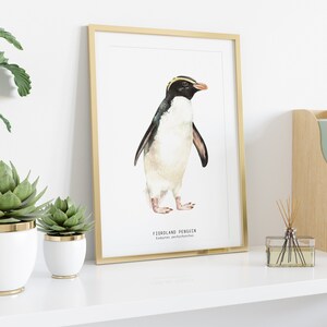 Fiordland Penguin fine art print beach coastal ocean poster gift nature wall set penguins home nursery décor Eudyptes pachyrhynchus image 3