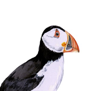 Impression dart aquarelle Atlantic Puffin Décoration murale à thème nautique Art mural de la maison de plage Affiche doiseau Décor de pépinière Cadeau de pendaison de crémaillère image 8