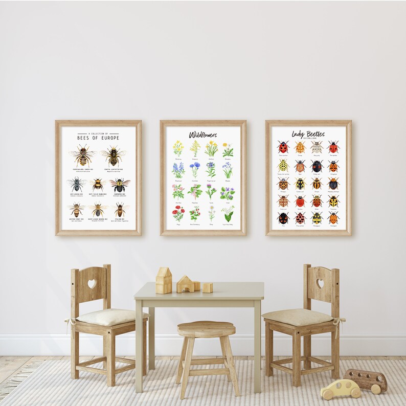 Puede incluir: Tres carteles educativos enmarcados para ni&ntilde;os, cada uno con un tema diferente. El primer cartel presenta una colecci&oacute;n de abejas de Europa, el segundo cartel presenta flores silvestres y el tercer cartel presenta mariquitas. Los carteles est&aacute;n colgados en una pared blanca en una habitaci&oacute;n con una mesa y sillas de madera.
