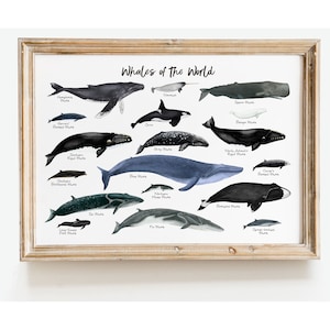 Wale der Welt Wandkunst | Maritime Wohnkultur | Meeressäugetiere Wanddekor | Einweihungsgeschenk | Kinderzimmer Dekor | Ocean Dekor | Wal Geschenk