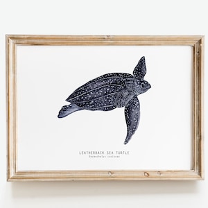 Lederschildkröte Kunstdruck | Dermochelys coriacea | Strand, Ozean, Riff Kunst | für Wohnzimmer, Bad, Kinderzimmer, Wanddeko, Geschenk