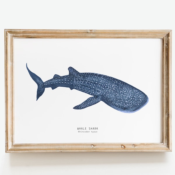 Whale Shark hand painted art | Beach house wall décor | Shark lovers gift | Rhincodon typus nursery poster | Shark week watercolor print