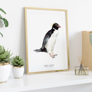 Snares penguin print dining room nature gallery wall art nautical beach home décor gift cute penguins nursery Eudyptes robustus image 3