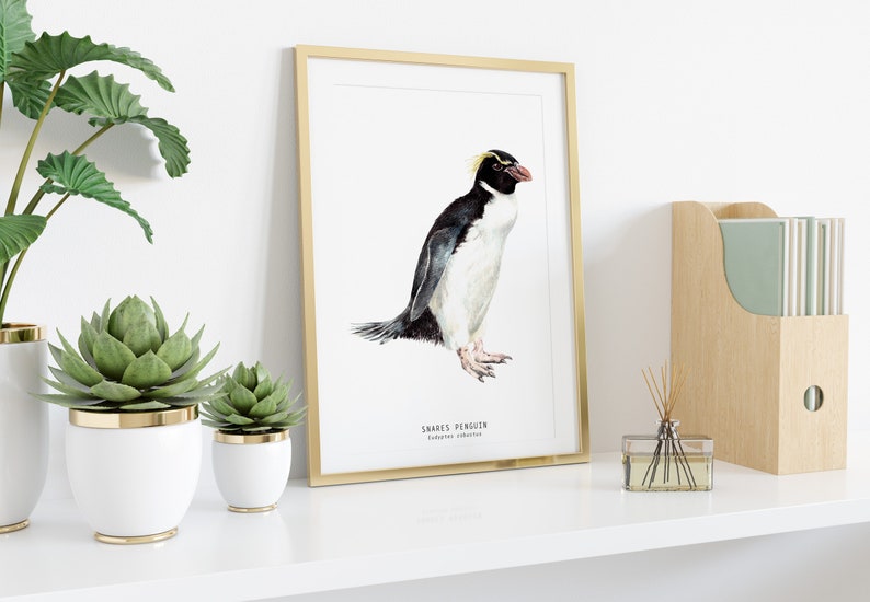 Snares penguin print dining room nature gallery wall art nautical beach home décor gift cute penguins nursery Eudyptes robustus image 3