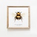 see more listings in the Bees section