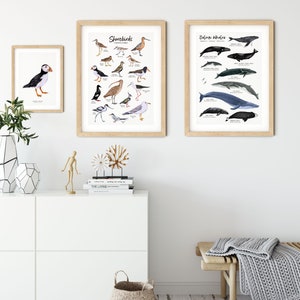 Impression dart aquarelle Atlantic Puffin Décoration murale à thème nautique Art mural de la maison de plage Affiche doiseau Décor de pépinière Cadeau de pendaison de crémaillère image 4