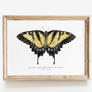 Östlicher Tiger-Schwalbenschwanzdruck | Papilio glaucus Nordamerikanisches Schmetterlingswohnzimmerplakat | Aquarell Wandbild | Badezimmer Schlafzimmer Dekor
