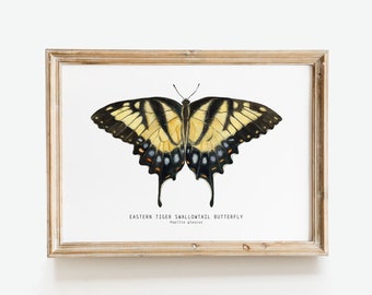 May include: A framed print of a black and yellow Eastern Tiger Swallowtail butterfly with the text "Eastern Tiger Swallowtail Butterfly Papilio glaucus" below the image.