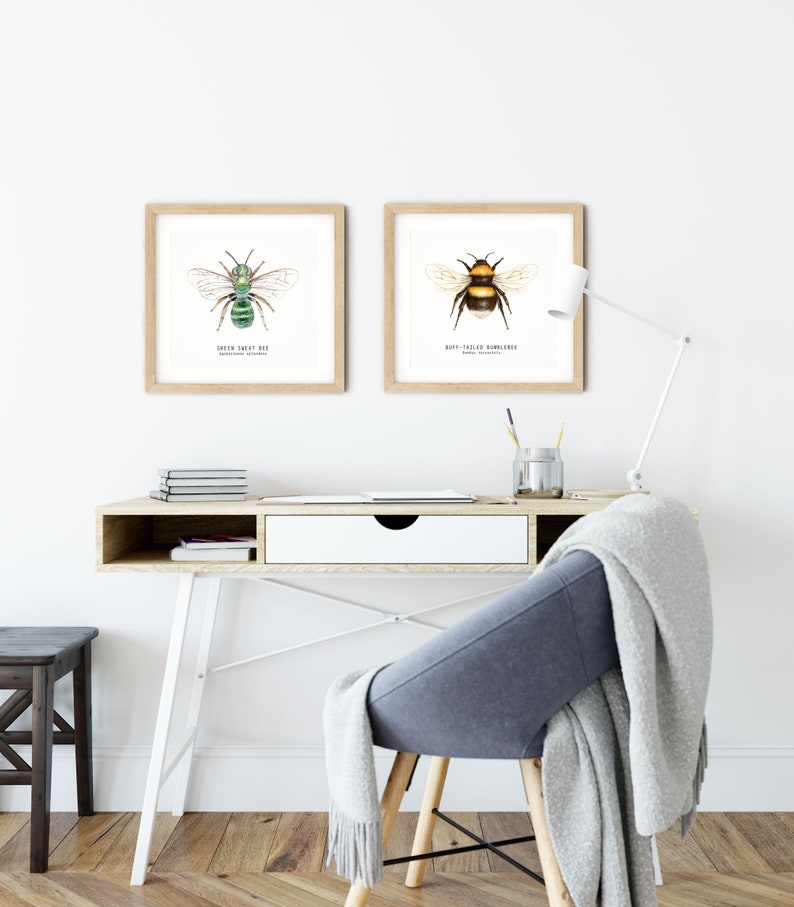 Green Sweat bee art print Watercolour art Bees wall art Montessori nature guide Children's art print Bee Fine Art print image 7