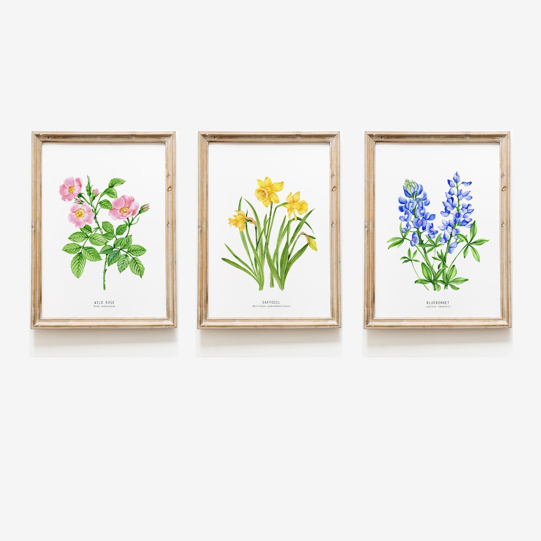 Set of 3 Watercolor Wildflowers | Watercolor Wall Art | Living Room ...