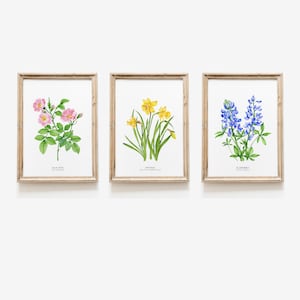 Set of 3 watercolor wildflowers | watercolor wall art | living room, nursery, home wall décor gift | floral, flower botanical wall art