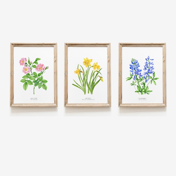 Set of 3 watercolor wildflowers | watercolor wall art | living room, nursery, home wall décor gift | floral, flower botanical wall art