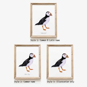 Impression dart aquarelle Atlantic Puffin Décoration murale à thème nautique Art mural de la maison de plage Affiche doiseau Décor de pépinière Cadeau de pendaison de crémaillère image 7