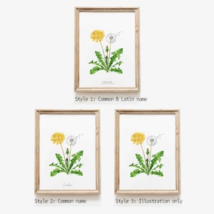 Dandelion wildflower nature print Floral kitchen dining room wall art Home flower art décor Taraxacum officinale dandelions image 7