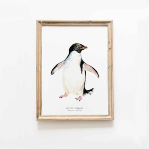 Adélie Penguin watercolor fine art print | nature wall art | home décor | children's bedroom wall art | coastal prints | Pygoscelis adeliae