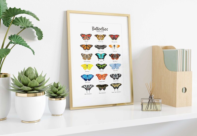 May include: A framed print with a gold frame featuring a chart of 20 different butterflies with their names listed below each butterfly. The butterflies are illustrated in watercolor style and are arranged in rows of four. The print is titled "Butterflies" and is displayed on a white shelf with a potted succulent plant and a diffuser.