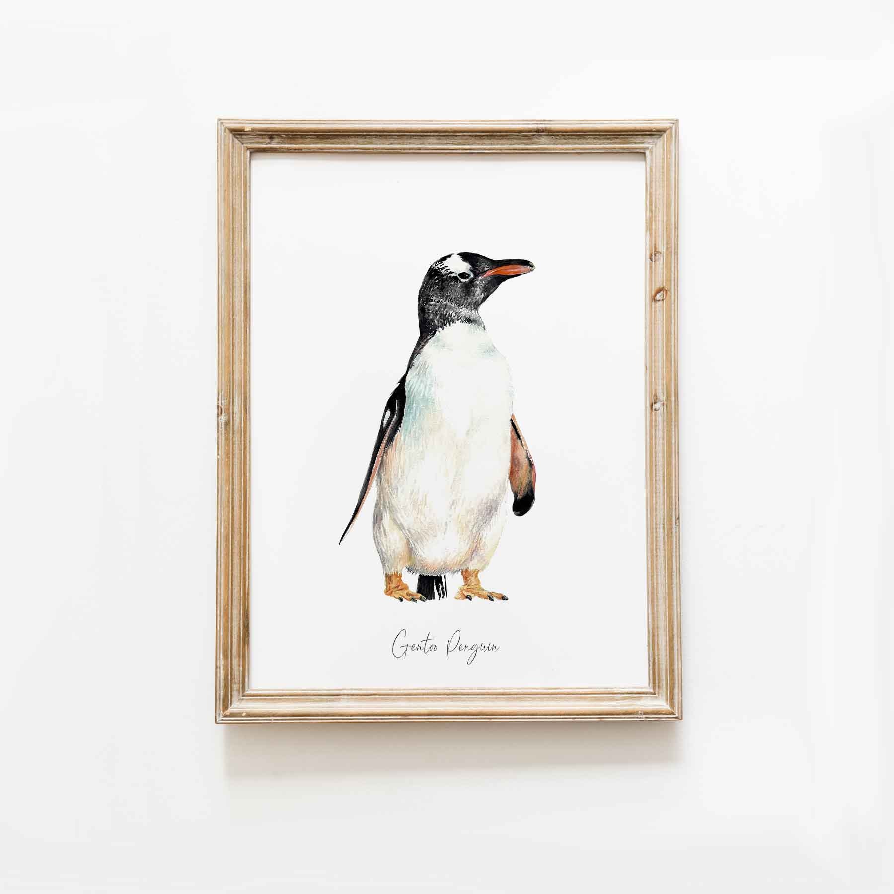 ジェンツーペンギンの水彩画ファインアートプリント | 鳥好きへの