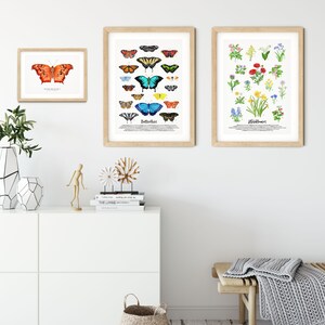 Question mark butterfly print Polygonia interrogationis watercolor art butterflies lover wall décor Nursery, living room girls gifts image 7
