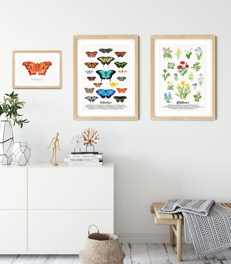 Question mark butterfly print Polygonia interrogationis watercolor art butterflies lover wall décor Nursery, living room girls gifts image 7