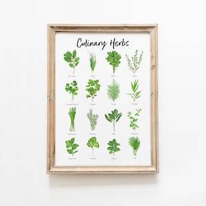 Décor aquarelle d'herbes culinaires | Etude de la nature à l'école maternelle Montessori | Affiche éducative d'école-maison | Les enfants jouent à la nature | Carte botanique