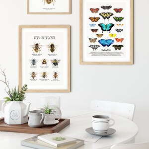 Puede incluir: Una mesa blanca con una bandeja de madera, una tetera, dos tazas y un libro. Hay tres impresiones enmarcadas en la pared detr&aacute;s de la mesa. Las impresiones presentan ilustraciones de abejas y mariposas.