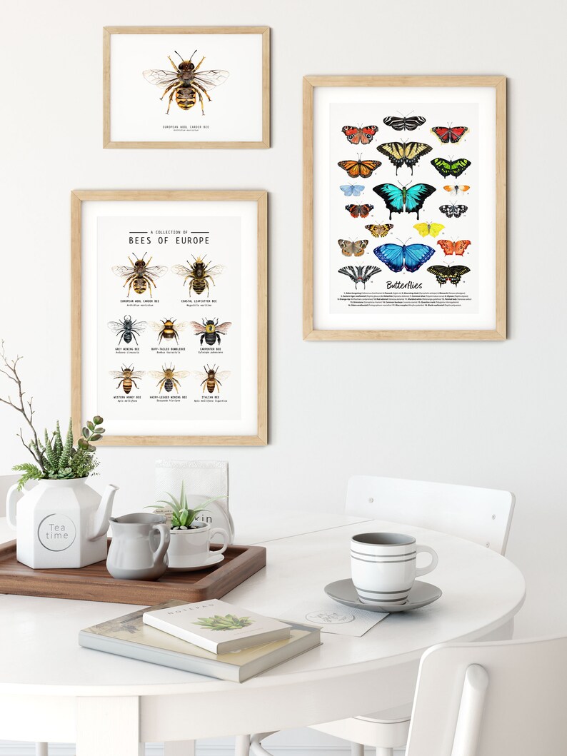 Puede incluir: Una mesa blanca con una bandeja de madera, una tetera, dos tazas y un libro. Hay tres impresiones enmarcadas en la pared detr&aacute;s de la mesa. Las impresiones presentan ilustraciones de abejas y mariposas.