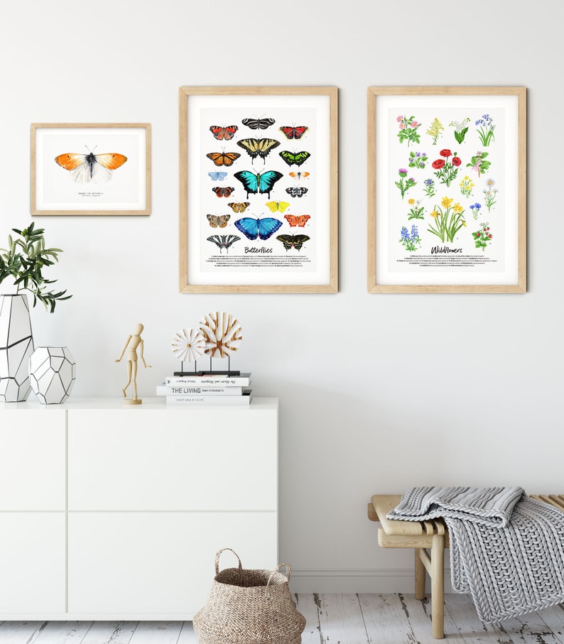 Orange-tip butterfly watercolor print Anthocharis cardamines wall art Housewarming fine art Butterfly lover gifts Home décor gift image 7