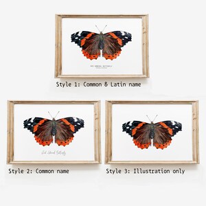 Red Admiral butterfly art print Vanessa atalanta watercolor wall décor bedroom, bathroom art poster living room, nursery, animal gift image 8