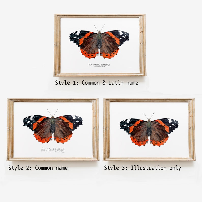 Red Admiral butterfly art print Vanessa atalanta watercolor wall décor bedroom, bathroom art poster living room, nursery, animal gift image 8