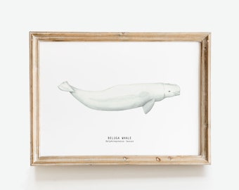 Beluga Whale acuarela arte de la pared / impresiones de decoración del hogar / arte del vivero de ballenas / decoración de la habitación de los niños / decoración del dormitorio