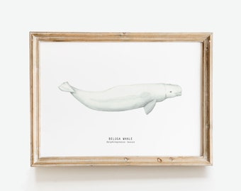 Beluga walvis aquarel kunst aan de muur | woondecoratieafdrukken | walviskwekerij kunst | kinderkamerinrichting | slaapzaal inrichting