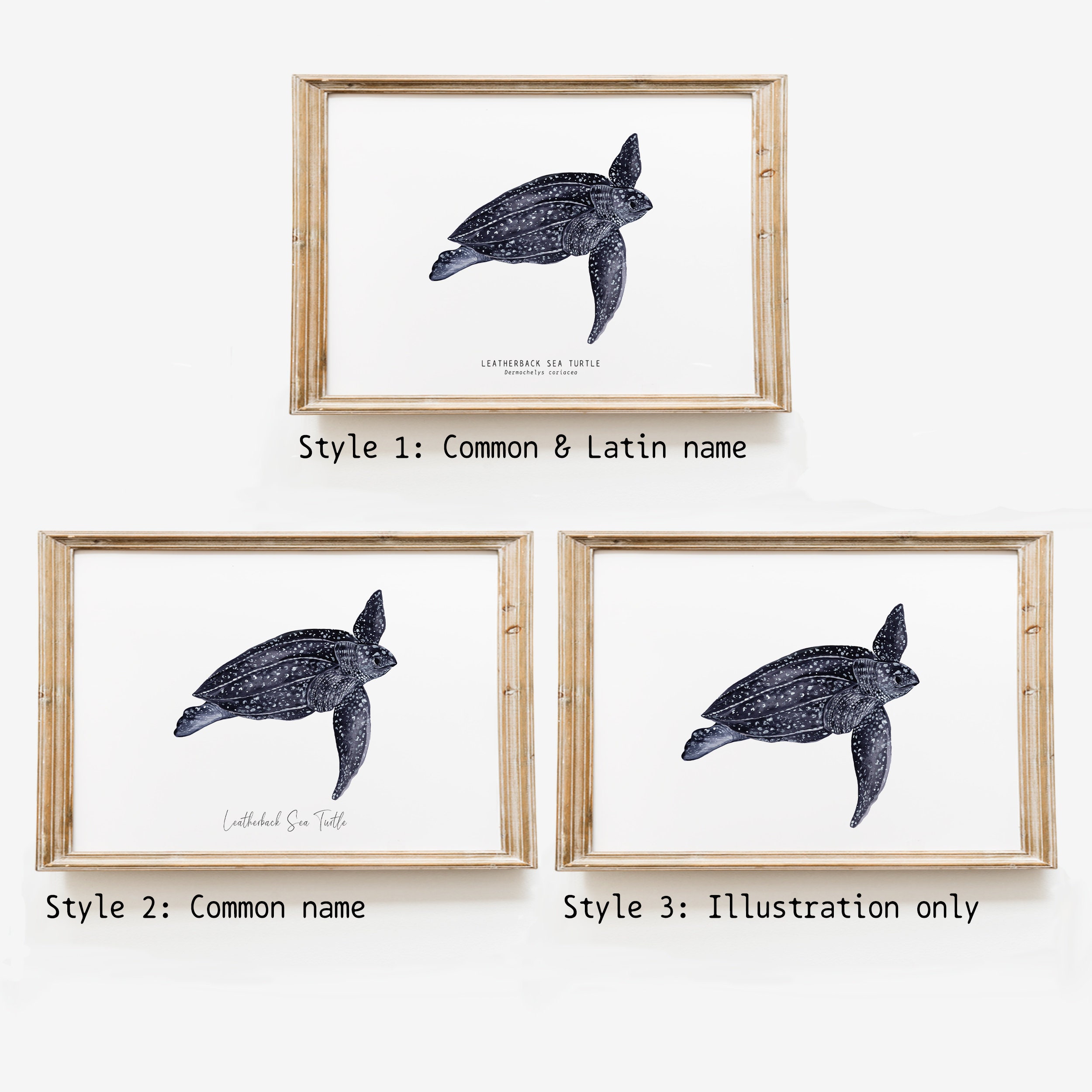 Leatherback Sea Turtle Art Print | Dermochelys Coriacea | Beach, Ocean ...